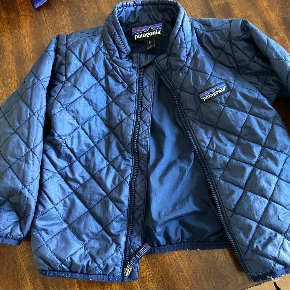 Patagonia Nano puff 2T
